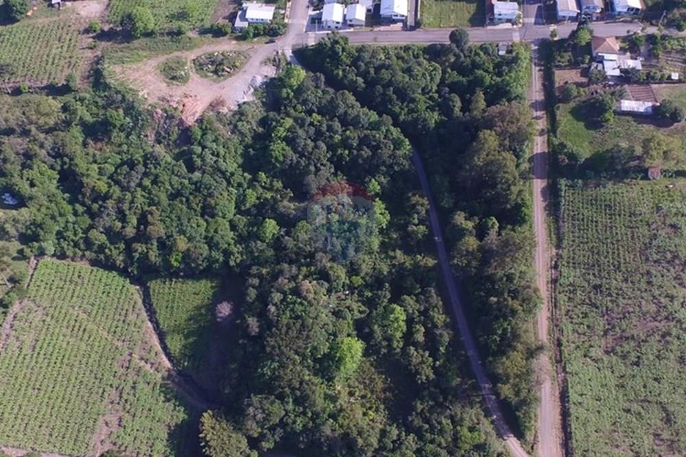 Terreno - Venda - Nova Pádua , Rio Grande do Sul - DJI_005411.jpg - 612551039-219