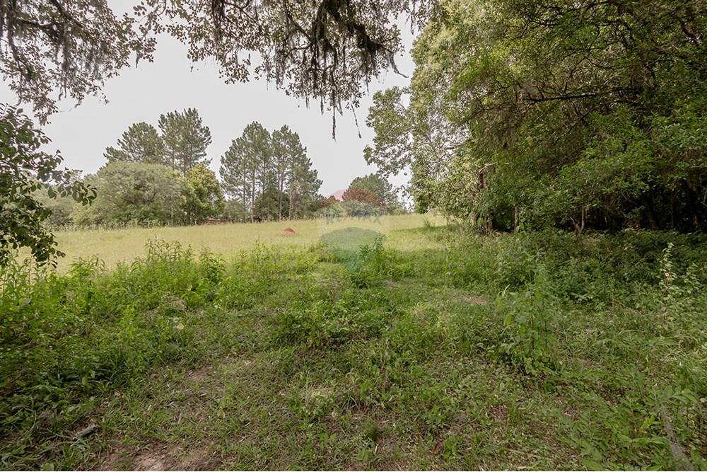 Terreno - Venda - Porto Alegre , Rio Grande do Sul - 0805-272 (12).jpg - 612521075-18