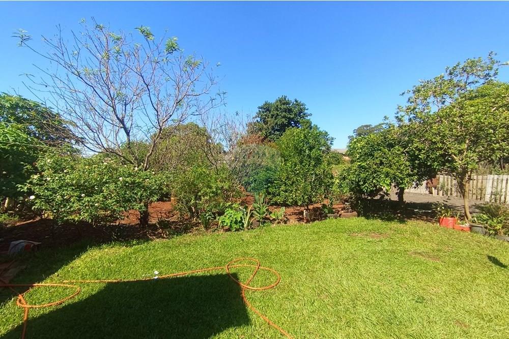 Chácara / Sítio / Fazenda - Venda - Saldanha Marinho , Rio Grande do Sul - IMG_20250307_151426.jpg - 612701007-124