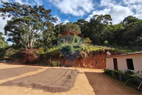 Venda-Chácara / Sítio / Fazenda-Centro , Guaçuí , Espírito Santo , 29560000-620251013-14