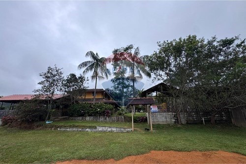 Venda-Chácara / Sítio / Fazenda-Centro , Ibitirama , Espírito Santo , 29540-000-620251015-39