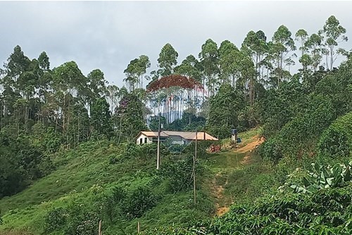Venda-Chácara / Sítio / Fazenda-Alto São Sebastião , SN  - A 8 Km do comércio de Olivaldo Ponath  - Centro , Santa Maria de Jetibá , Espírito Santo , 29645000-620211025-2