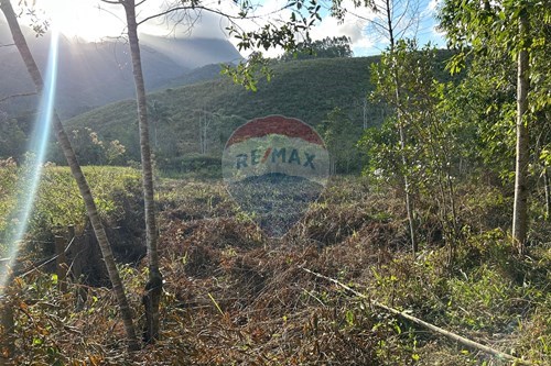 Venda-Chácara / Sítio / Fazenda-Patrimônio da Penha II , Divino de São Lourenço , Espírito Santo , 29590000-620251001-38