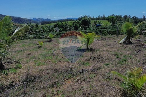 Venda-Terreno-Baixo Pongal , Anchieta , Espírito Santo , 29230000-620201024-15