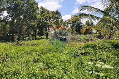 Venda-Chácara / Sítio / Fazenda-Itaipava , Itapemirim , Espírito Santo , 29285000-620201020-26