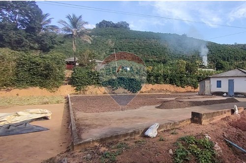 Venda-Chácara / Sítio / Fazenda-Centro , Guaçuí , Espírito Santo , 29560000-620251001-27