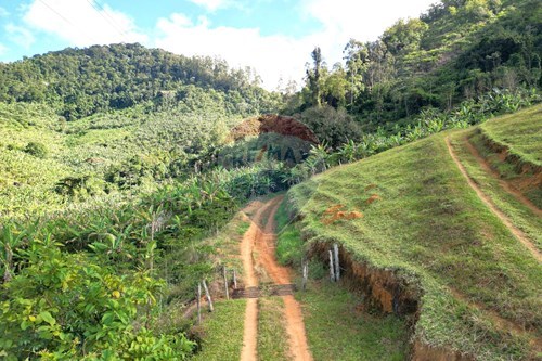 Venda-Chácara / Sítio / Fazenda-Duas Barras , 41  - Duas barras  - Bom Destino , Iconha , Espírito Santo , 29280000-620201020-13