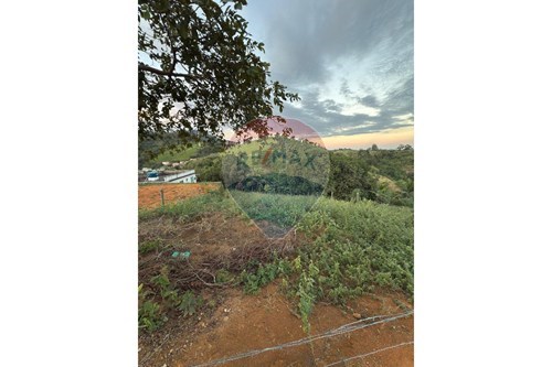 Venda-Terreno-Rua Padre Guido Spolaor , S/n  - Condominio Tofano  - Centro , Rio Novo do Sul , Espírito Santo , 29290000-620291001-14