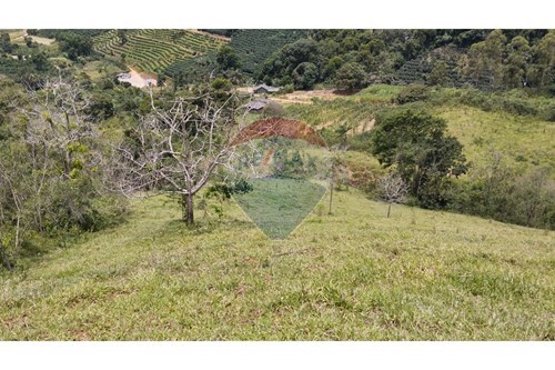 Venda-Chácara / Sítio / Fazenda-ALTO SAO FELIPE , SN  - Centro , Guaçuí , Espírito Santo , 29560000-620251015-5