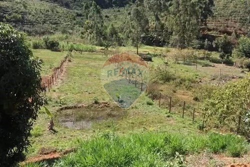 Venda-Terreno-Loteamento Industrial , Guaçuí , Espírito Santo , 29560000-620251006-16