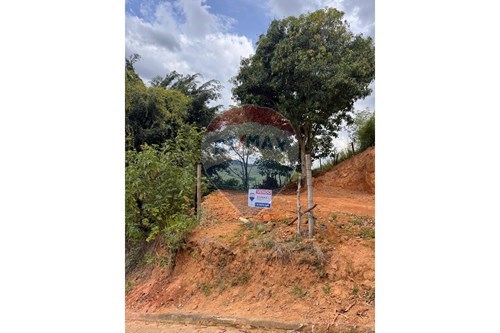 Venda-Terreno-Morada das Palmeiras , Guaçuí , Espírito Santo , 29560000-620251015-3