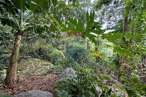 Slider Image Thumbnail