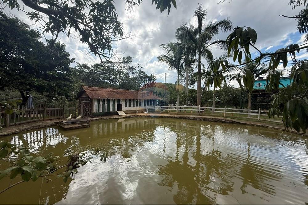 Chácara / Sítio / Fazenda - Venda - Guaçuí , Espírito Santo - WhatsApp Image 2026-03-30 at 13.54.40 (2).jpeg - 620251001-64