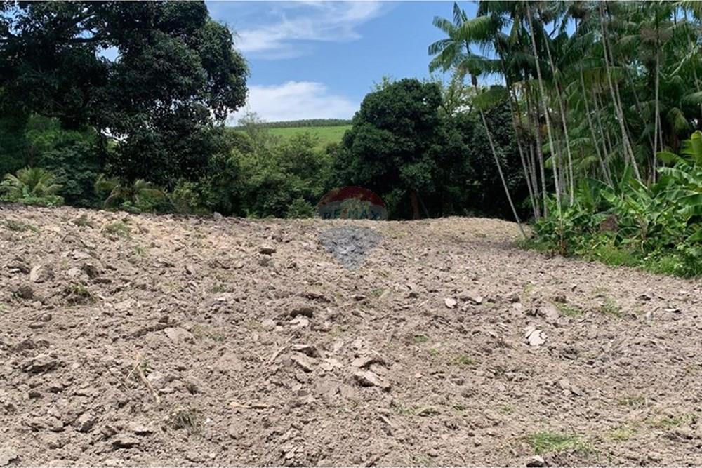 Chácara / Sítio / Fazenda - Venda - Anchieta , Espírito Santo - Imagem do WhatsApp de 2025-09-05 à(s) 16.04.07_dce1be68.jpg - 620181007-57