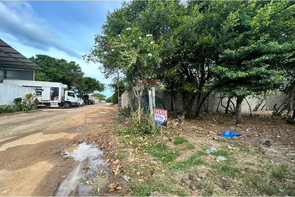 Terreno - Venda - Anchieta , Espírito Santo - WhatsApp Image 2025-11-18 at 16.08.00.jpeg - 620181007-55