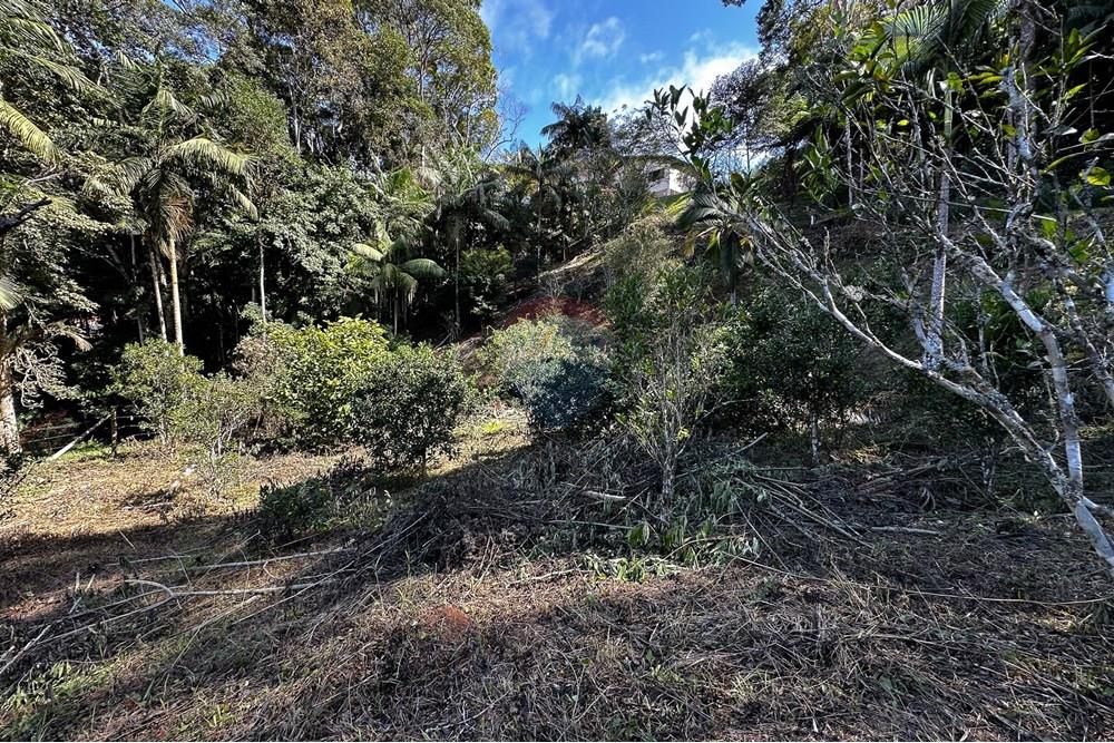 Terreno - Venda - Domingos Martins , Espírito Santo - 53-c-16.jpg - 620171046-22