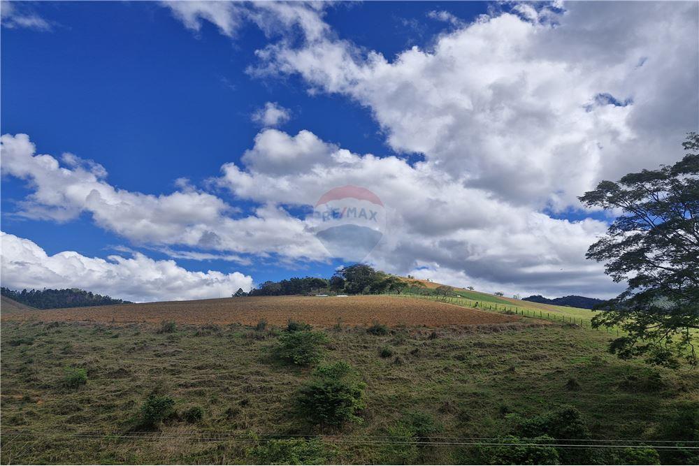 Fazenda - Venda - Aimorés , Minas Gerais - 11 - 620131043-13