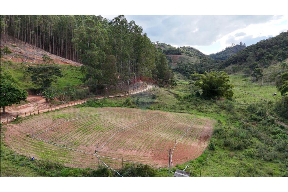 Fazenda - Venda - Aimorés , Minas Gerais - 8 - 620131043-13