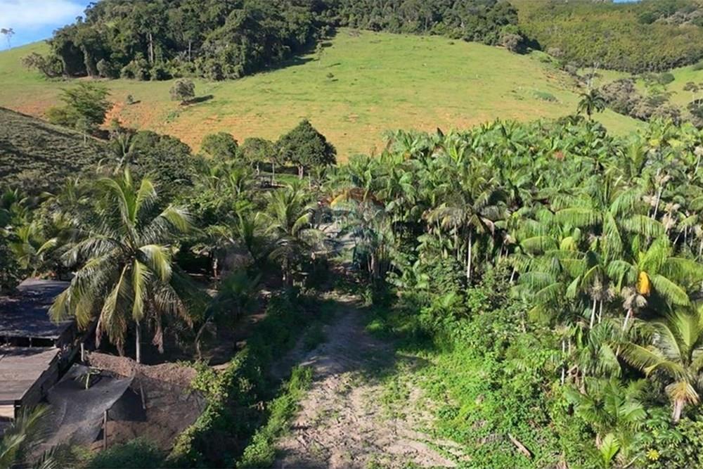 Chácara / Sítio / Fazenda - Venda - Anchieta , Espírito Santo - Imagem do WhatsApp de 2025-09-05 à(s) 16.03.50_10819e2c.jpg - 620181007-57