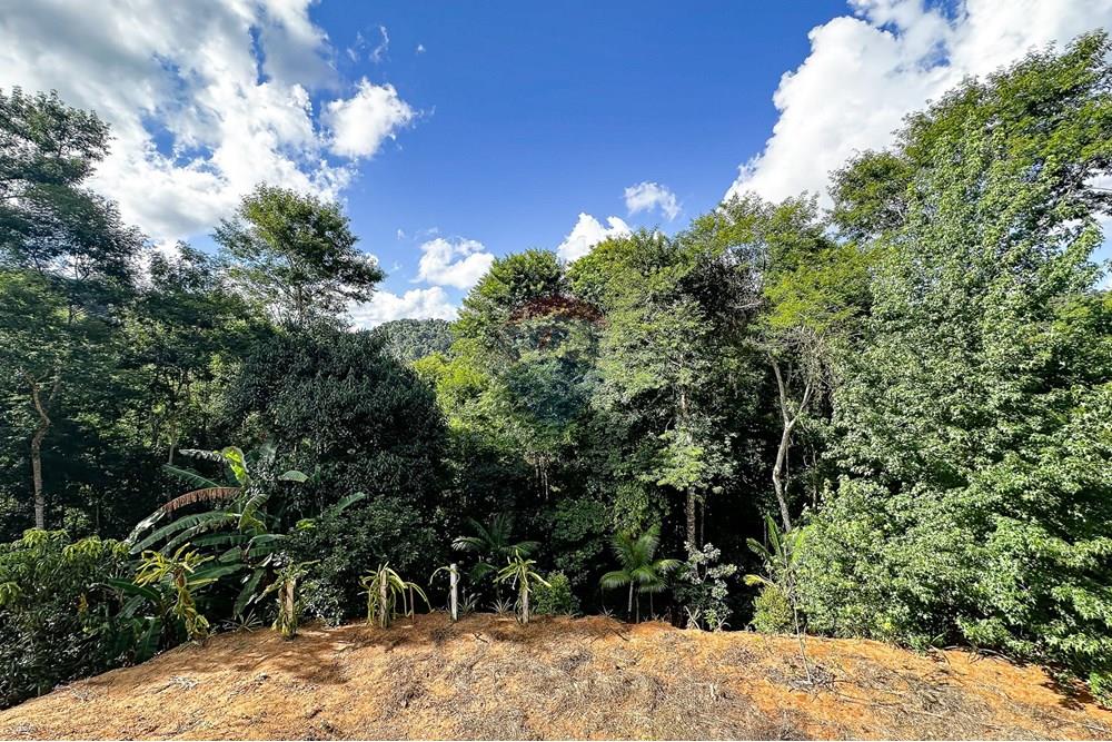 Casa - Venda - Domingos Martins , Espírito Santo - GeovanaLimpo-3.jpg - 620171046-32