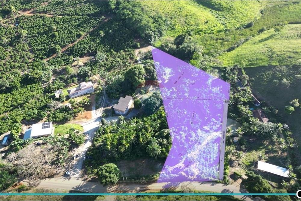 Chácara / Sítio / Fazenda - Venda - Anchieta , Espírito Santo - Imagem do WhatsApp de 2025-09-05 à(s) 16.04.06_877047a4.jpg - 620181007-57