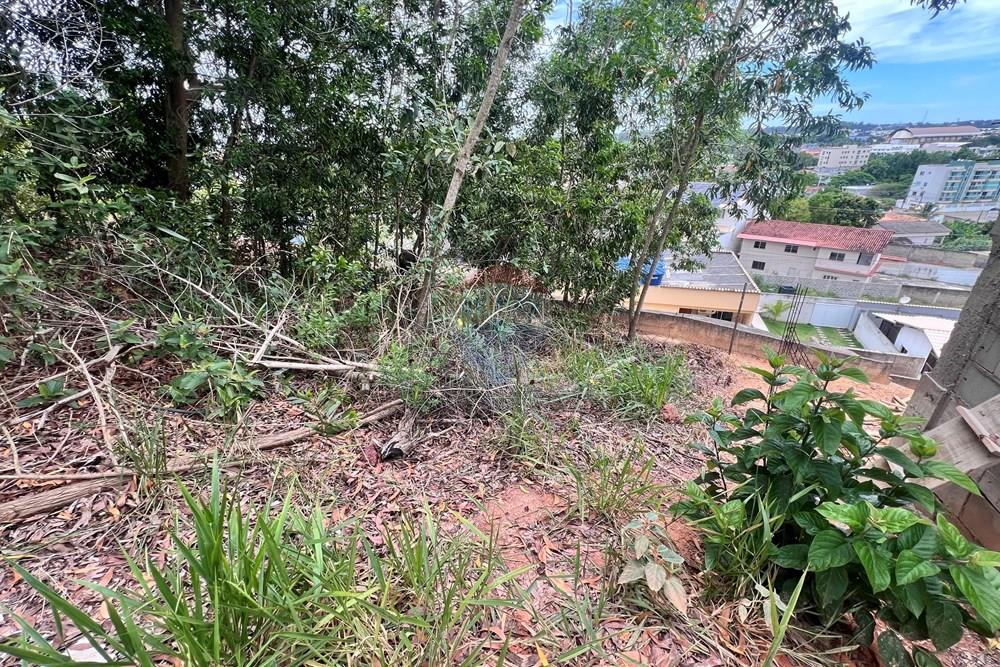 Terreno - Venda - Anchieta , Espírito Santo - IMG_9297.jpeg - 620201023-16