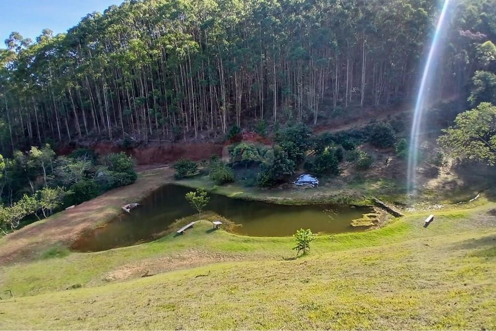 Terreno - Venda - Marechal Floriano , Espírito Santo - WhatsApp Image 2026-02-24 at 11.16.06.jpeg - 620231013-10