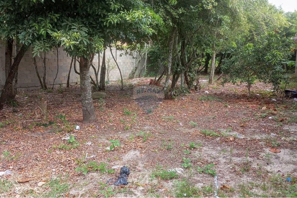 Terreno - Venda - Anchieta , Espírito Santo - 1764959678597.jpg - 620181007-55