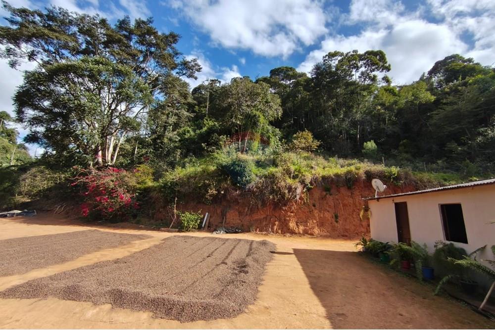 Chácara / Sítio / Fazenda - Venda - Guaçuí , Espírito Santo - São Rumão (6).jpeg - 620251013-14