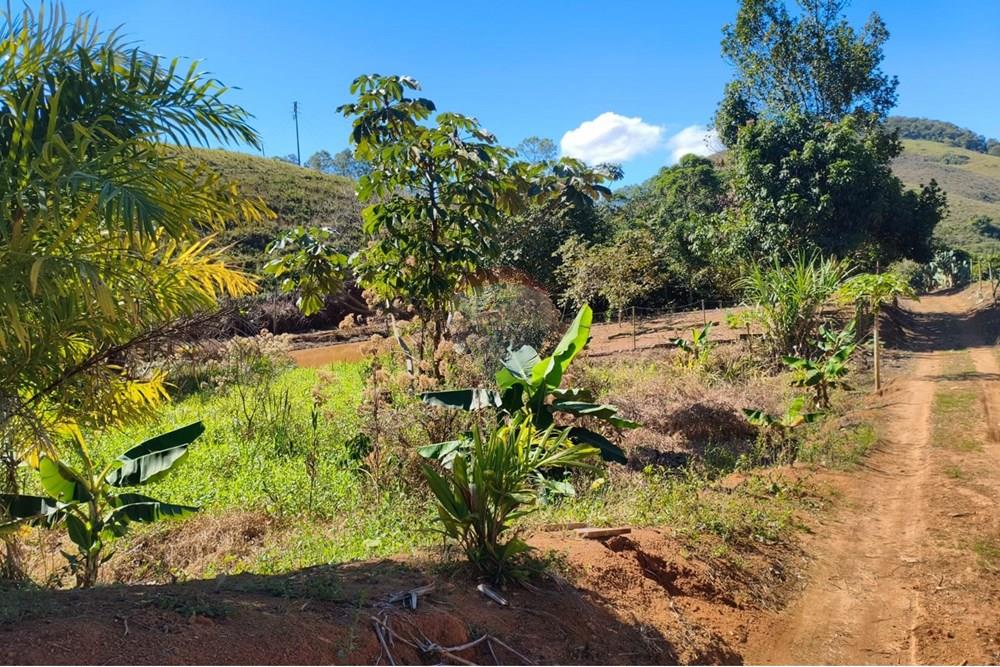 Chácara / Sítio / Fazenda - Venda - Guaçuí , Espírito Santo - WhatsApp Image 2025-07-08 at 15.31.25.jpeg - 620251001-23