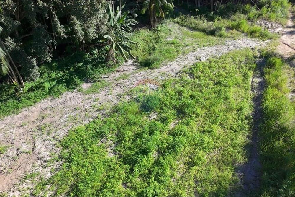 Chácara / Sítio / Fazenda - Venda - Anchieta , Espírito Santo - Imagem do WhatsApp de 2025-09-05 à(s) 16.04.05_5041632a.jpg - 620181007-57