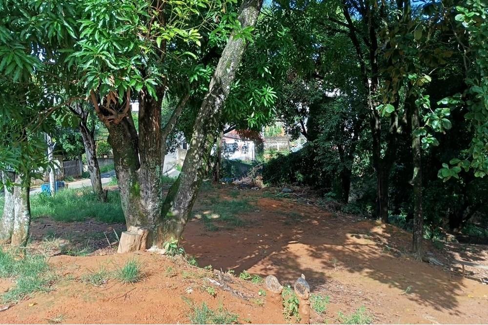 Terreno - Venda - Viana , Espírito Santo - a52b1796-1796-48d4-848f-a54429737e99.jpg - 620101040-8