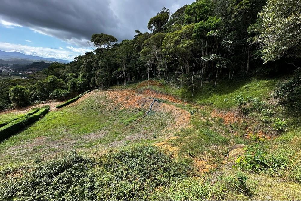 Terreno - Venda - Domingos Martins , Espírito Santo - WhatsApp Image 2025-03-13 at 16.52.30.jpeg - 620171023-48