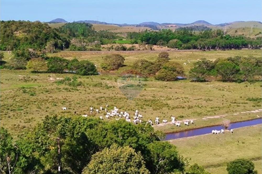 Fazenda - Venda - Anchieta , Espírito Santo - WhatsApp Image 2025-11-04 at 22.40.28.jpeg - 620201024-3