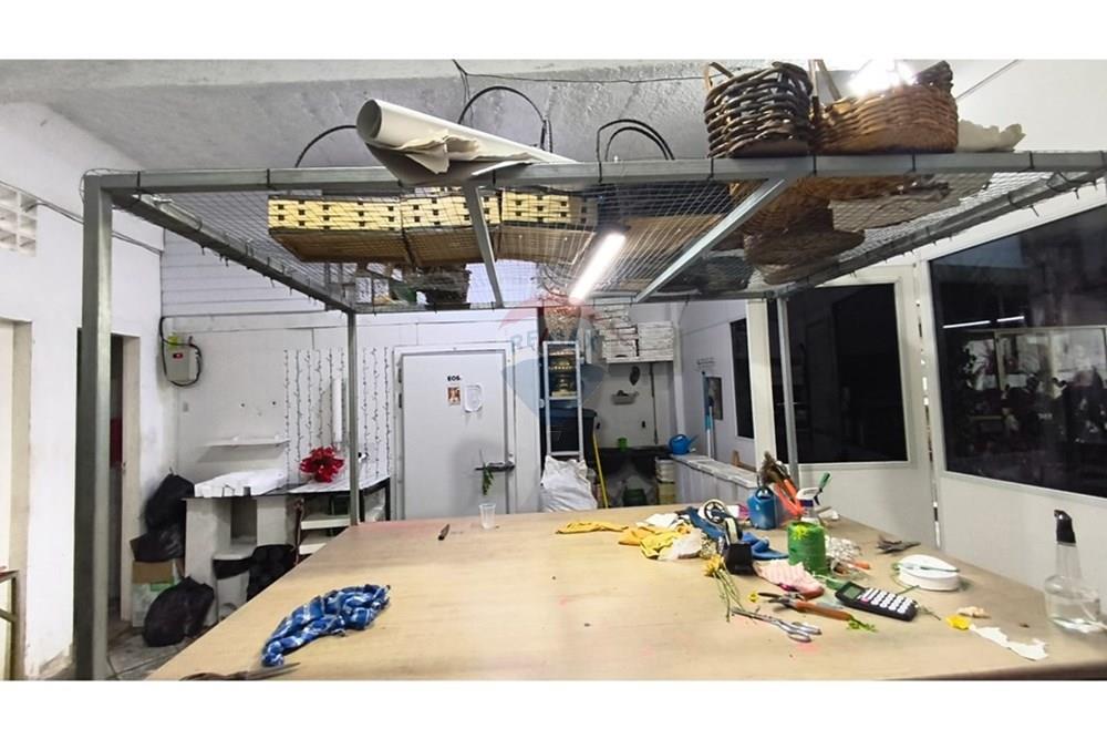 Terreno - Venda - Vila Velha , Espírito Santo - WhatsApp Image 2025-12-02 at 09.54.50 (1).jpeg - 620241010-13