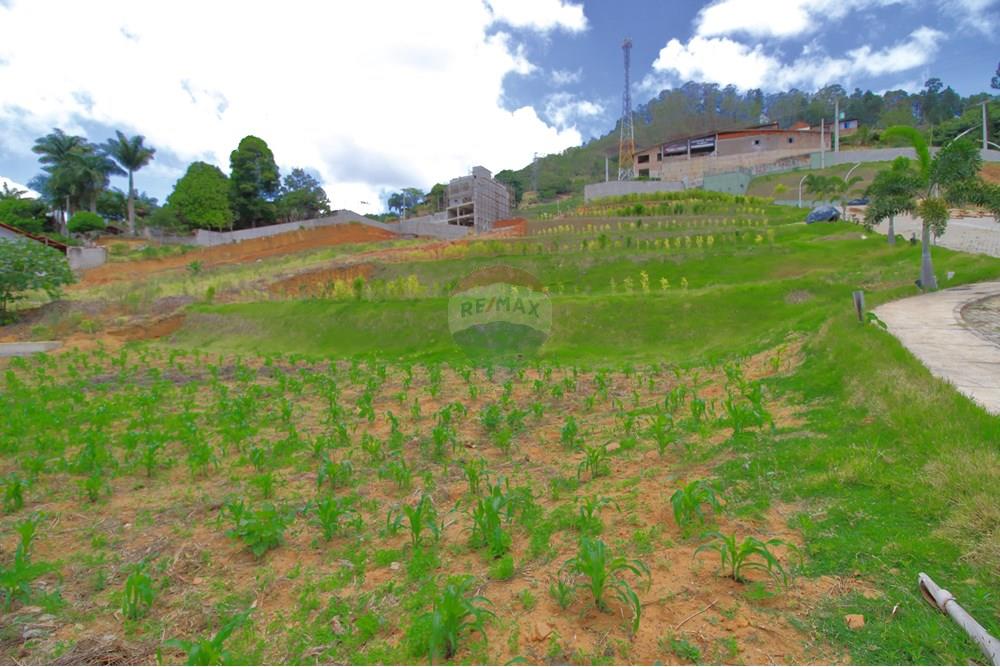 Terreno - Venda - Santa Teresa , Espírito Santo - IMG_4905.JPG - 620171030-32