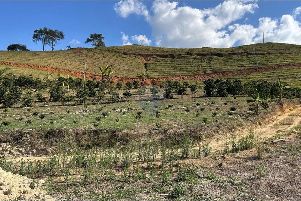 Chácara / Sítio / Fazenda - Venda - Guaçuí , Espírito Santo - WhatsApp Image 2025-09-22 at 10.16.34 (6).jpeg - 620251015-18