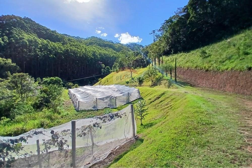 Terreno - Venda - Marechal Floriano , Espírito Santo - WhatsApp_Image_2026-02-24_at_11.16.05[1].jpeg - 620231013-10