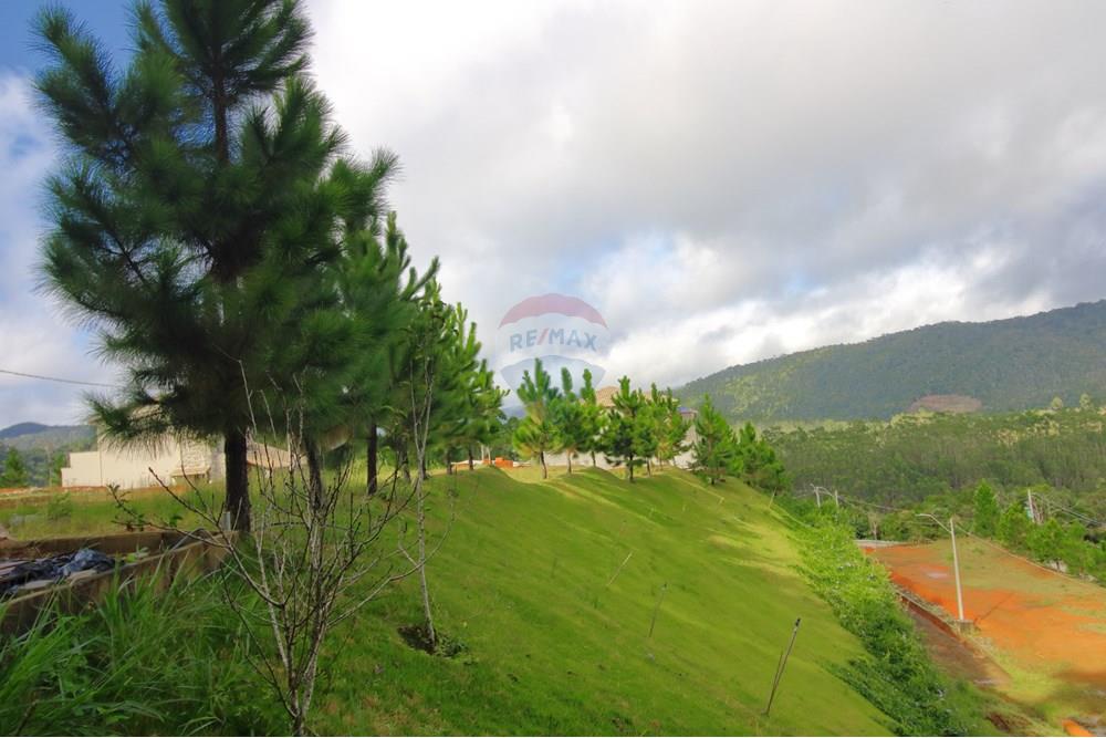 Casa - Venda - Santa Teresa , Espírito Santo - 8 - Pinheiros (Ver CEI).JPG - 620171030-38