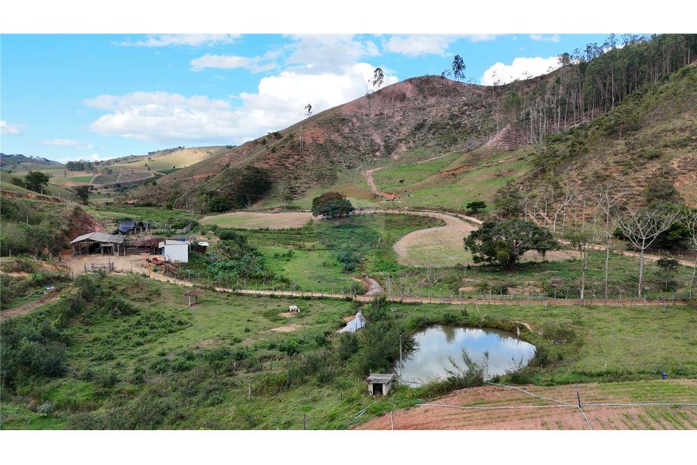 Fazenda - Venda - Aimorés , Minas Gerais - 10 - 620131043-13