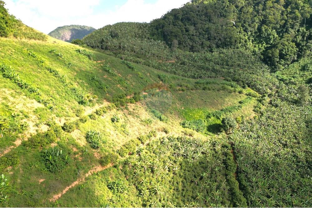 Chácara / Sítio / Fazenda - Venda - Iconha , Espírito Santo - DJI_0541.JPG - 620201020-13