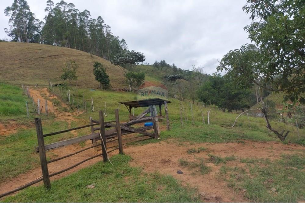 Chácara / Sítio / Fazenda - Venda - Vargem Alta , Espírito Santo - WhatsApp Image 2025-10-21 at 14.34.34 (2).jpeg - 620171077-6