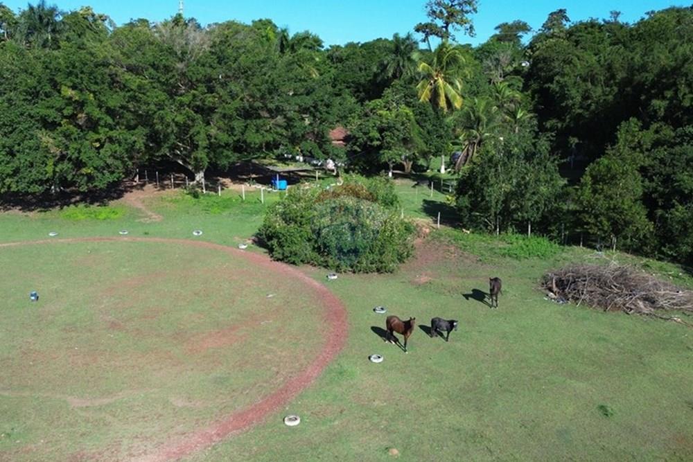 Chácara / Sítio / Fazenda - Venda - Vila Velha , Espírito Santo - WhatsApp Image 2025-07-31 at 15.31.32 (2).jpeg - 620101031-18