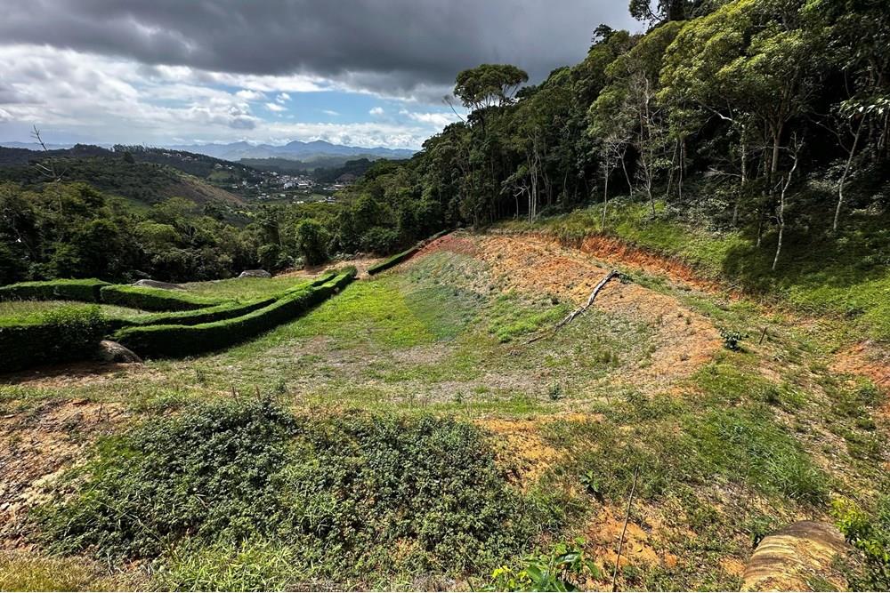 Terreno - Venda - Domingos Martins , Espírito Santo - WhatsApp Image 2025-03-13 at 16.52.17.jpeg - 620171023-48