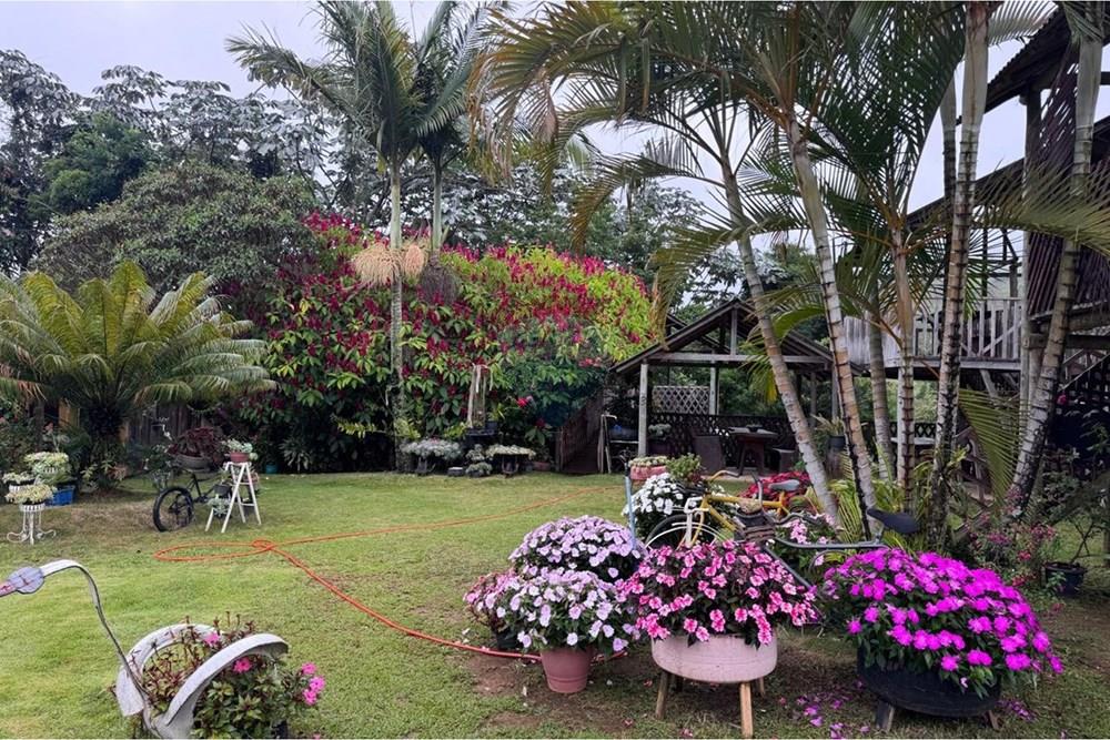 Chácara / Sítio / Fazenda - Venda - Ibitirama , Espírito Santo - WhatsApp Image 2026-03-23 at 07.45.49 (6).jpeg - 620251015-39