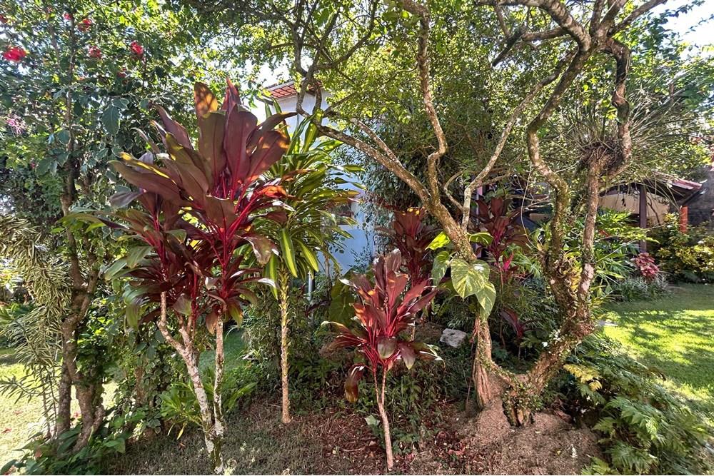 Casa - Venda - Guarapari , Espírito Santo - WhatsApp Image 2025-04-01 at 12.51.03.jpeg - 620181017-4