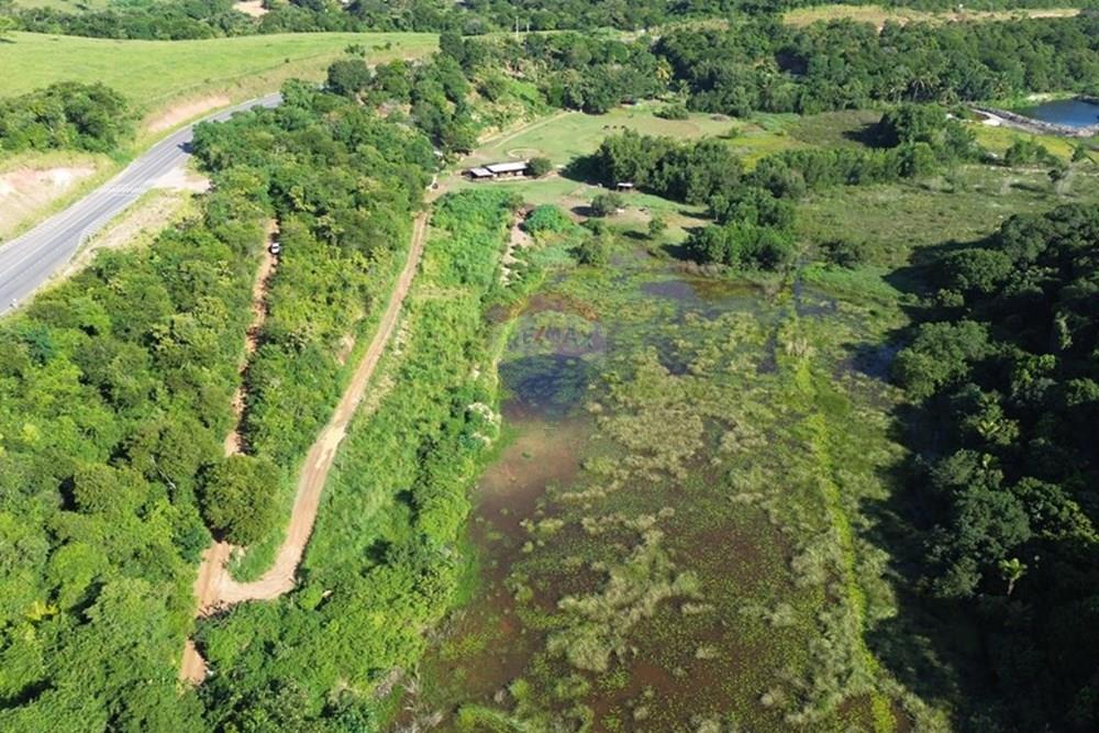 Chácara / Sítio / Fazenda - Venda - Vila Velha , Espírito Santo - WhatsApp Image 2025-07-31 at 15.31.28 (1).jpeg - 620101031-18