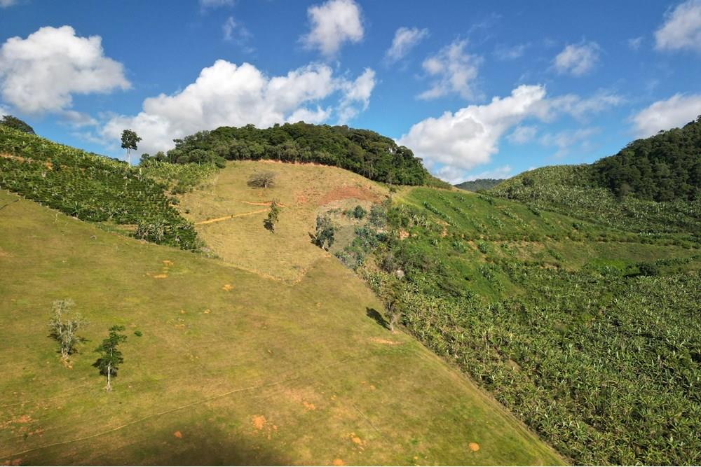 Chácara / Sítio / Fazenda - Venda - Iconha , Espírito Santo - DJI_0510.JPG - 620201020-13