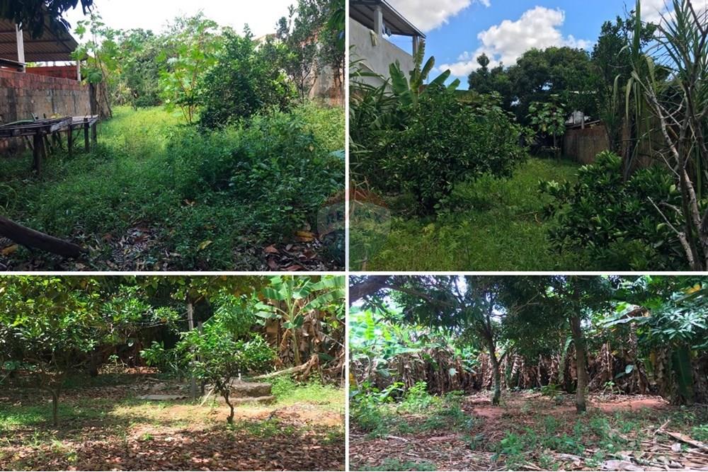 Prédio - Venda - Mantenópolis , Espírito Santo - casa 60.jpg - 620231001-13