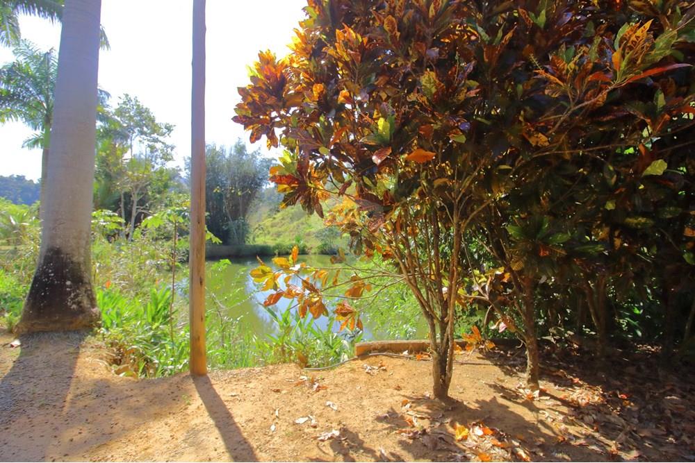 Chácara / Sítio / Fazenda - Venda - Santa Leopoldina , Espírito Santo - 16.JPG - 620171030-30